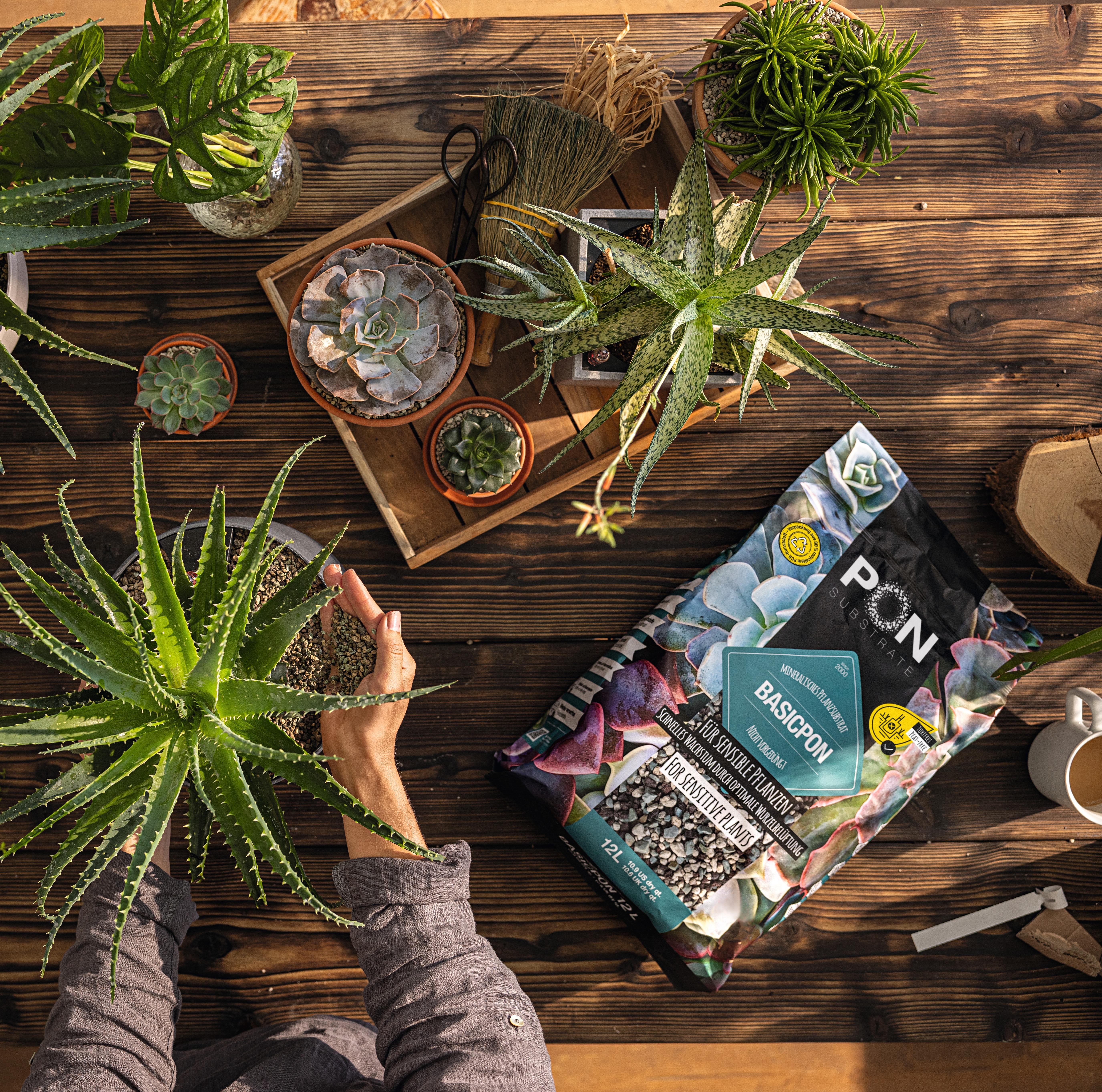 le_basicpon_product_addi_01